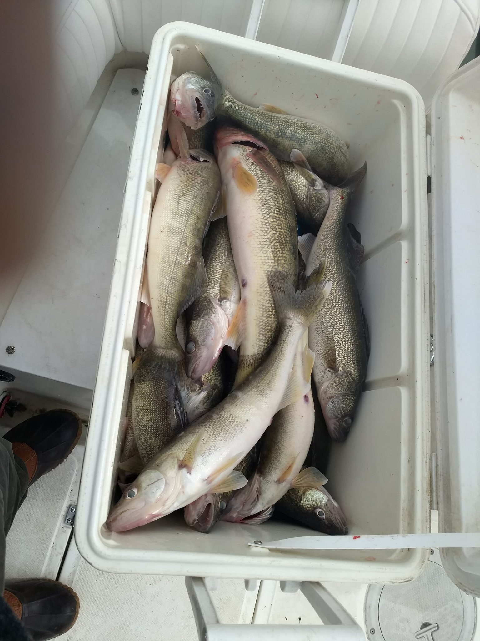 Great Musky Fishing In The Fall Lake St Clair Musky Charter